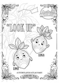 ABL Limu & Luna Colour In